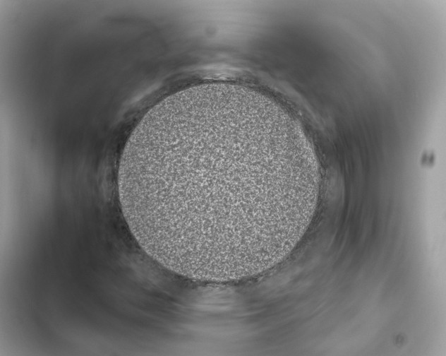 X0000101991446200808151413