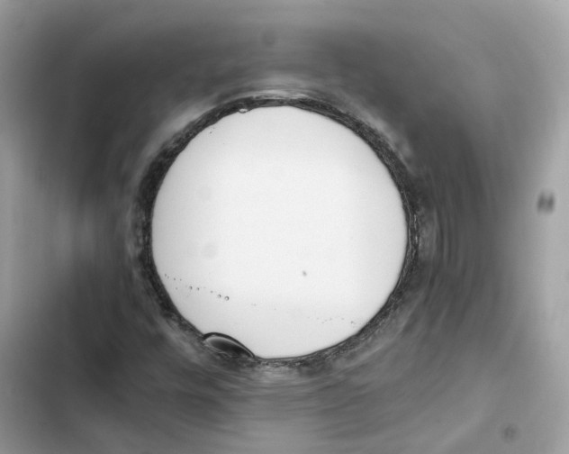 X0000101991448200808151413