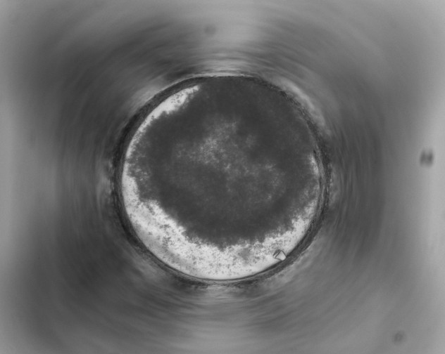 X0000101991449200808151413