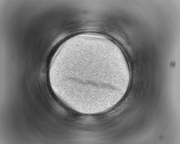 X0000101991450200808151413