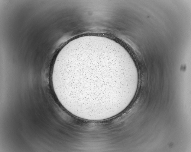 X0000101991451200808151413