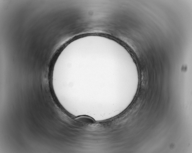 X0000101991452200808151413