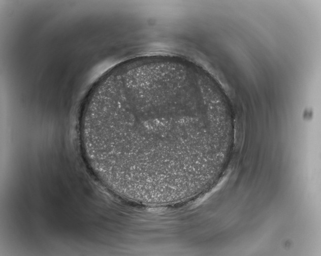 X0000101991453200808151413