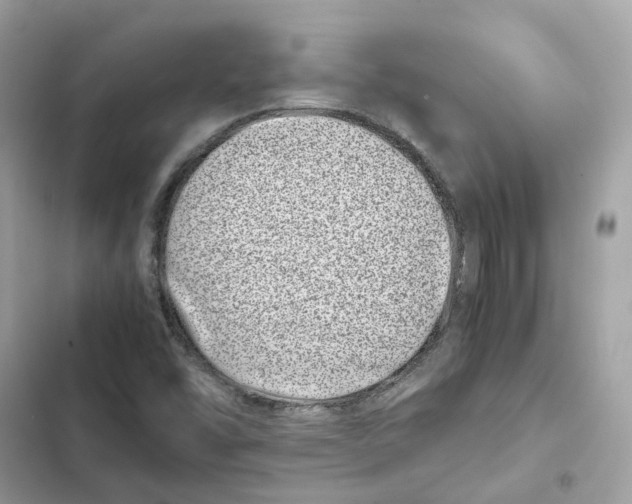 X0000101991454200808151413