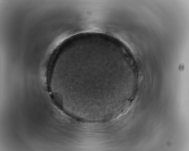 X0000101991455200808151413