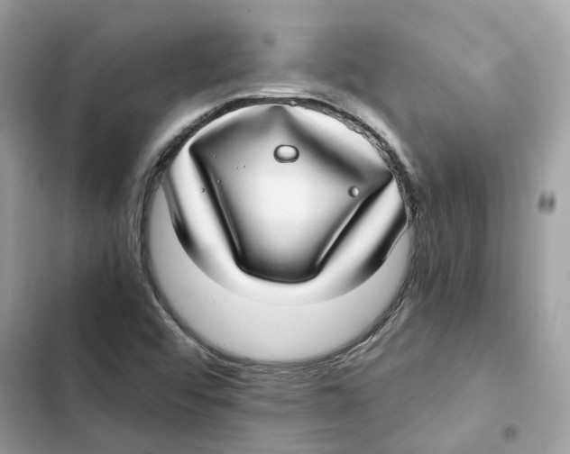 X0000101991456200808151413
