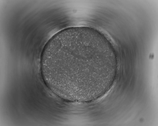 X0000101991457200808151413