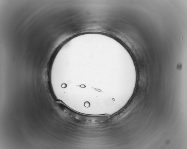 X0000101991458200808151413