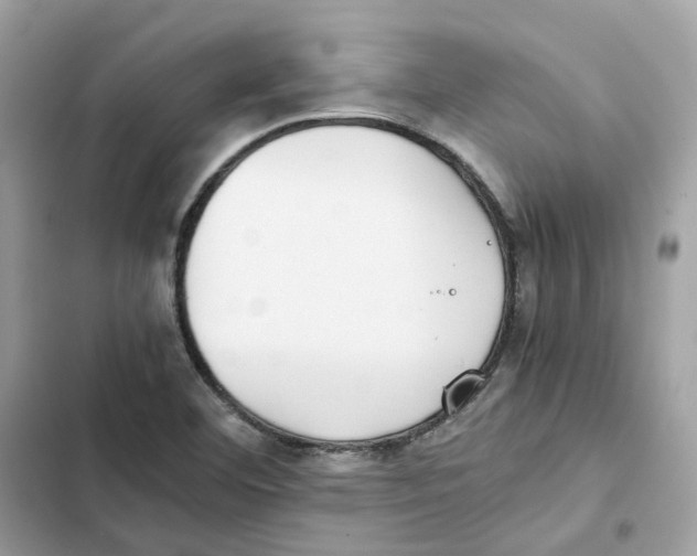 X0000101991460200808151413