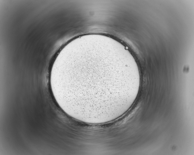 X0000101991461200808151413