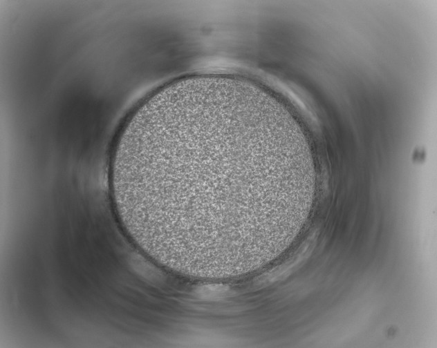 X0000101991462200808151413