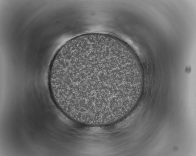 X0000101991463200808151413