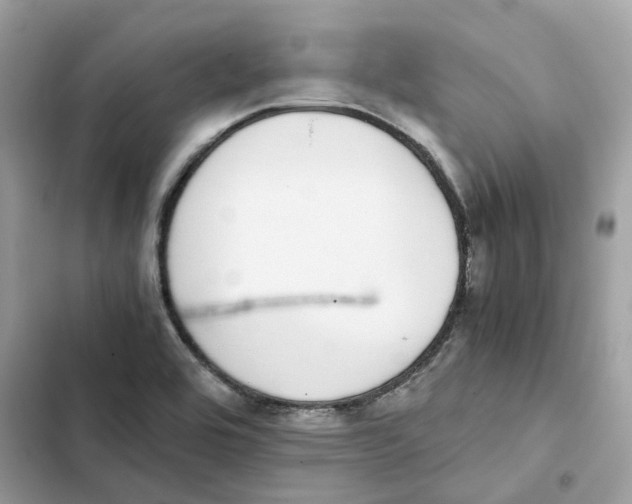 X0000101991464200808151413