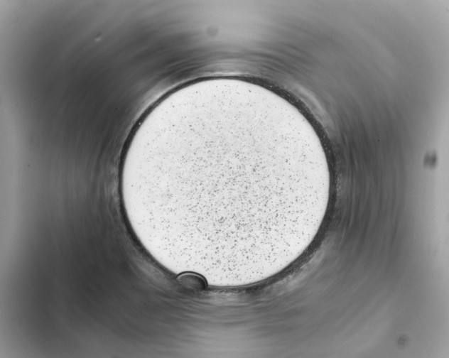 X0000101991465200808151413