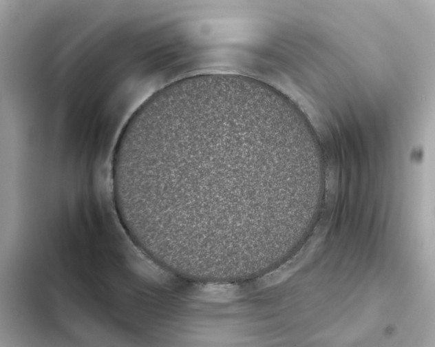 X0000101991466200808151413