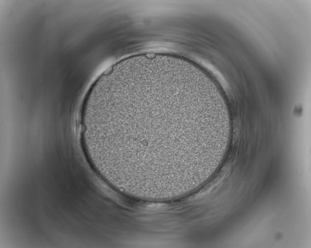 X0000101991467200808151413
