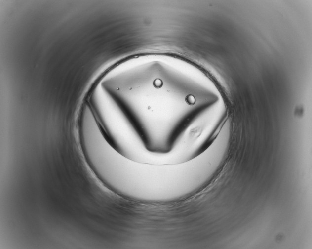 X0000101991468200808151413
