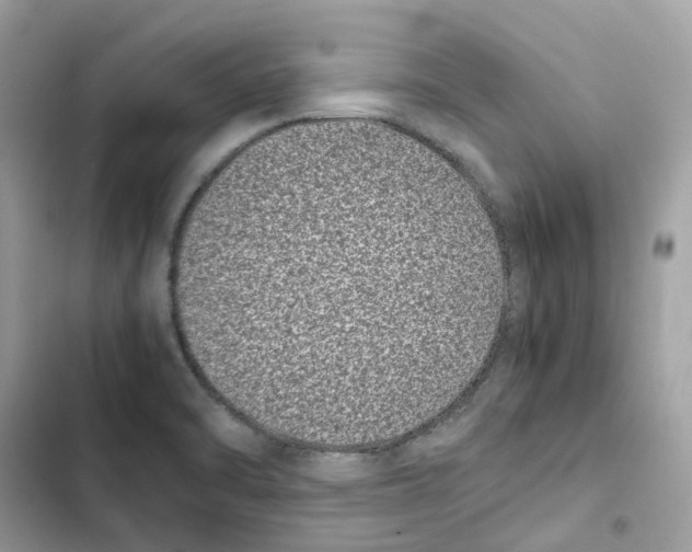 X0000101991470200808151413
