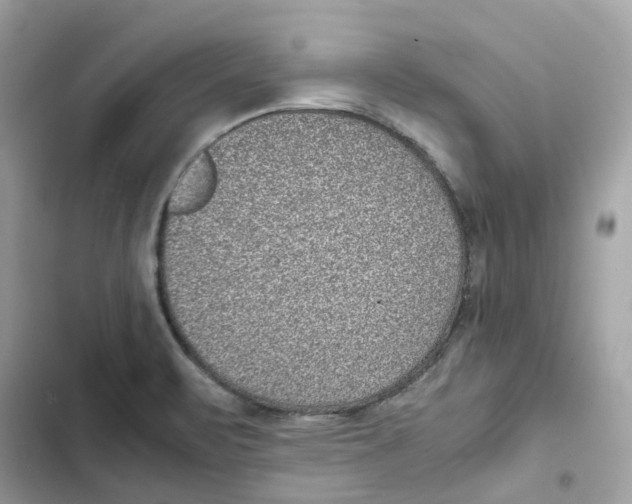 X0000101991471200808151413