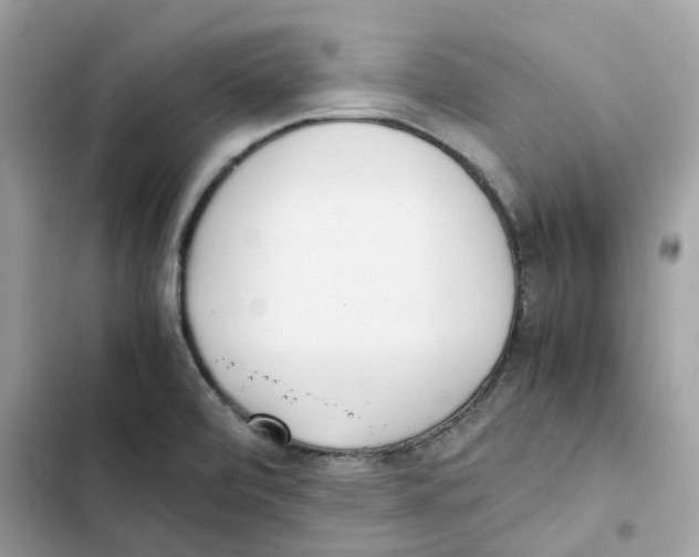X0000101991472200808151413