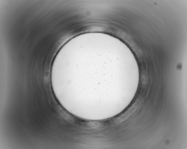 X0000101991473200808151413