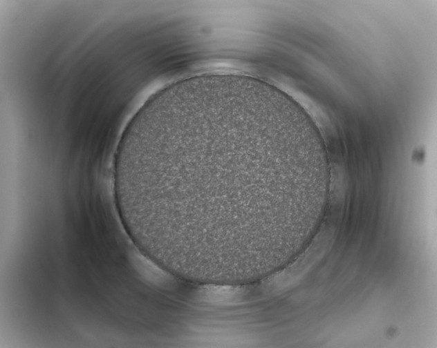X0000101991474200808151413
