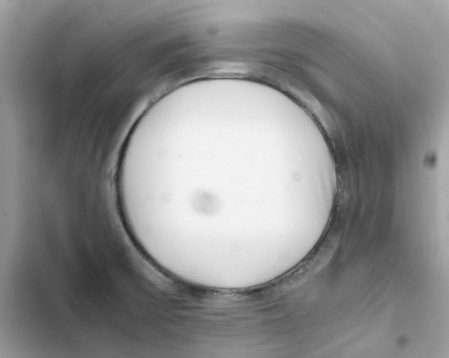 X0000101991475200808151413