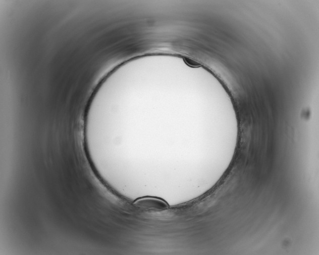 X0000101991476200808151413