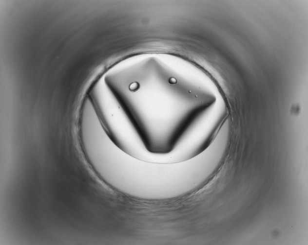 X0000101991477200808151413