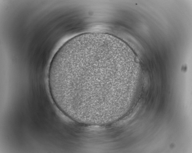 X0000101991478200808151412