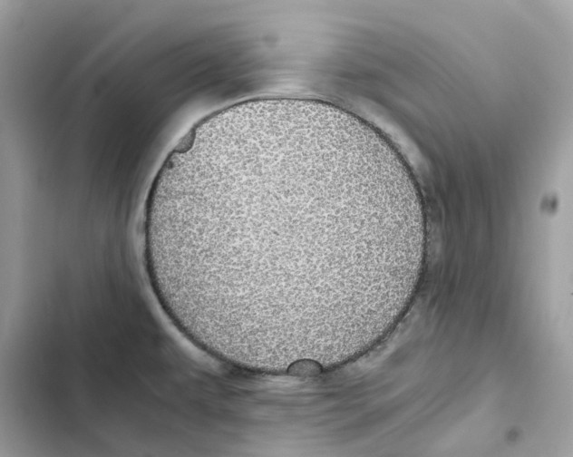 X0000101991479200808151412