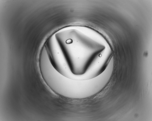 X0000101991480200808151412