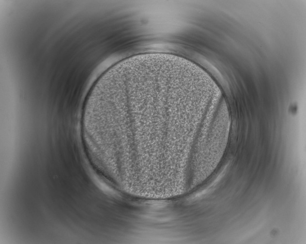 X0000101991482200808151412