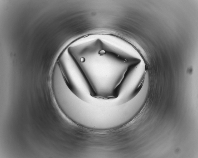 X0000101991484200808151412