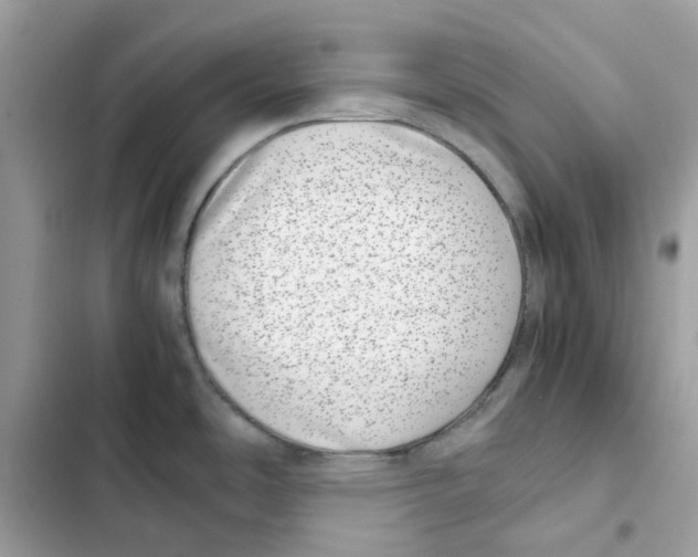 X0000101991486200808151412
