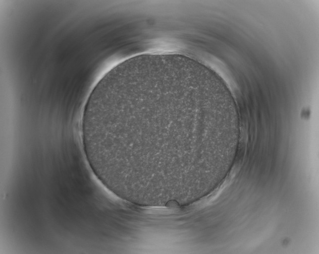 X0000101991487200808151412