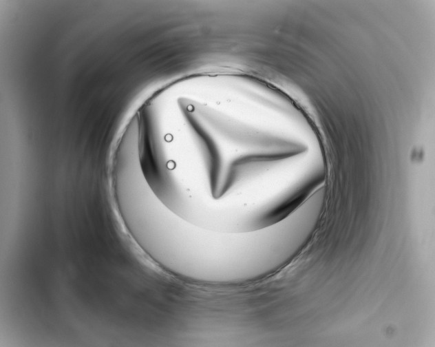 X0000101991488200808151412