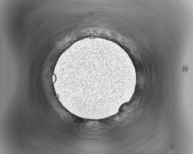 X0000101991489200808151412