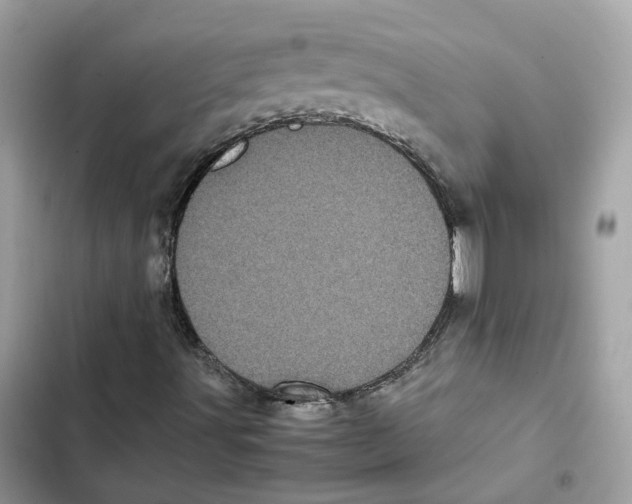 X0000101991491200808151412