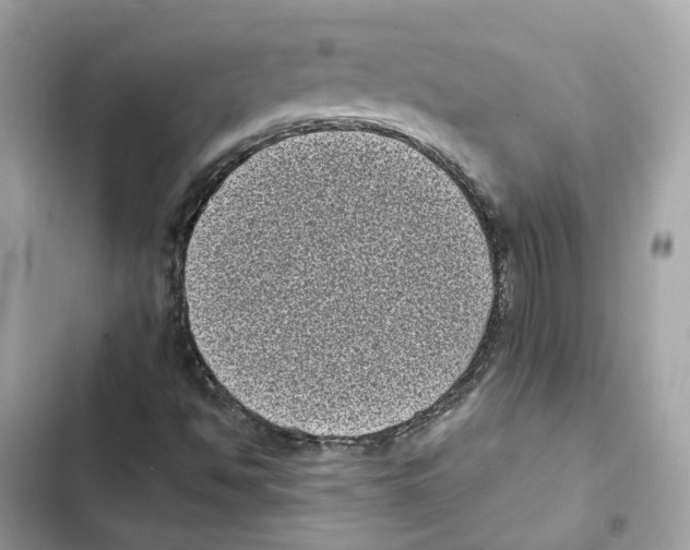 X0000101991494200808151412