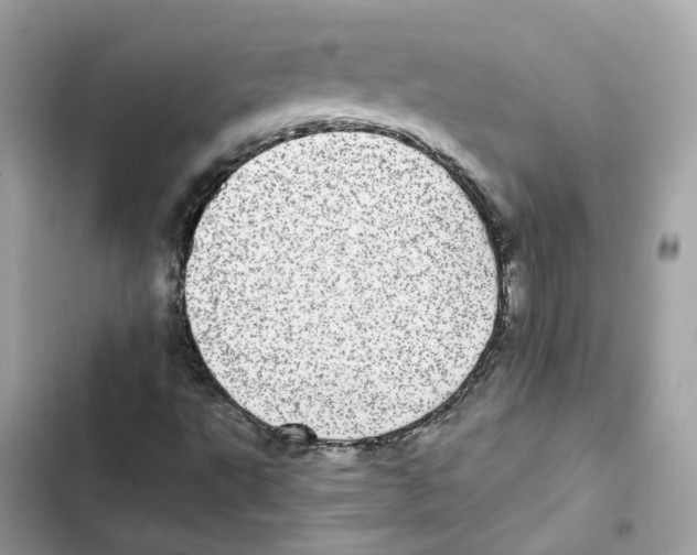 X0000101991495200808151412