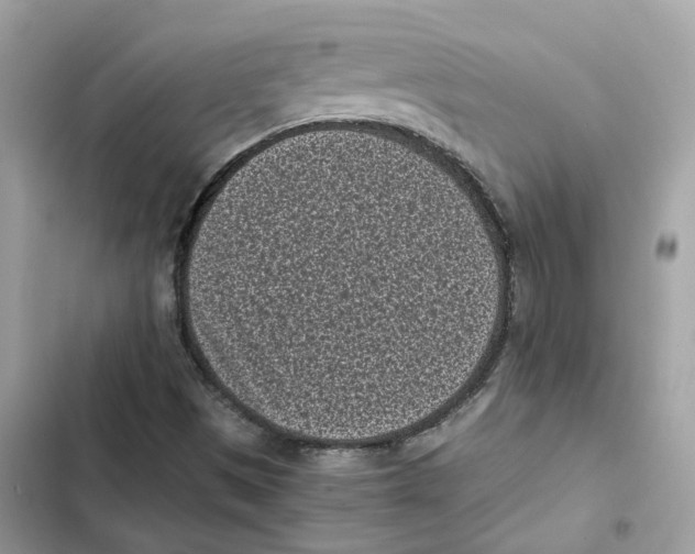 X0000101991497200808151412