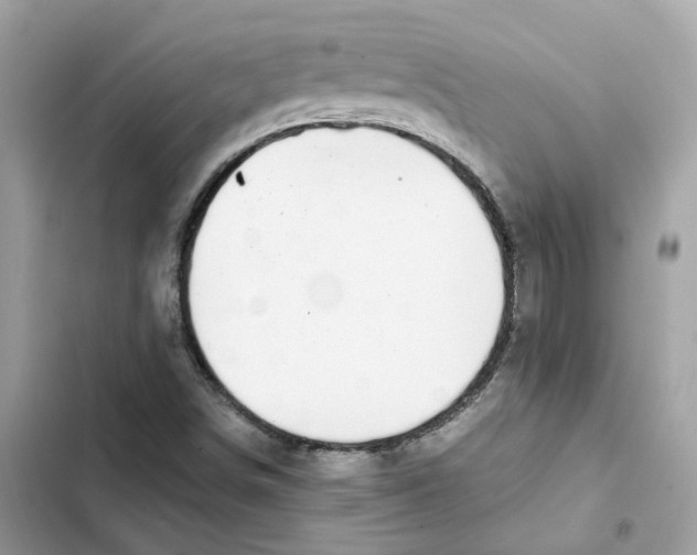 X0000101991498200808151412