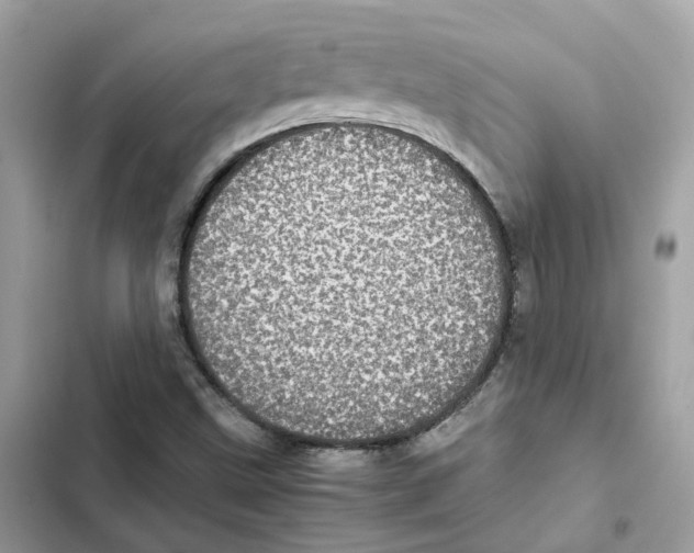X0000101991499200808151412