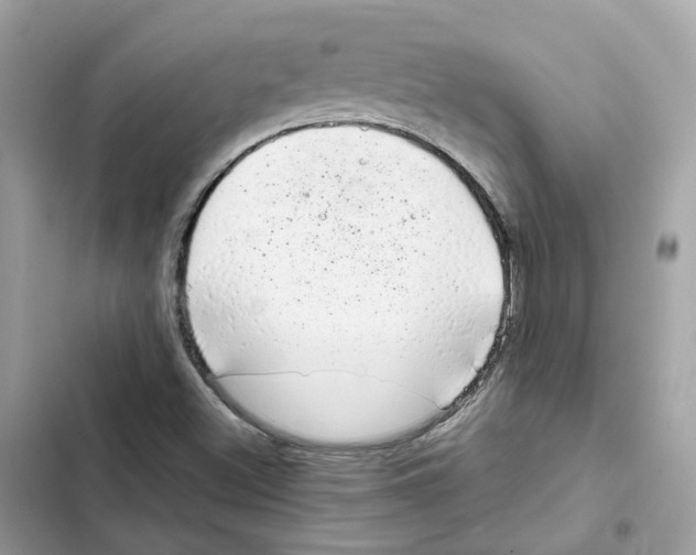 X0000101991500200808151412