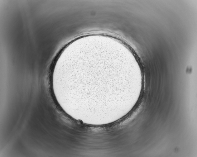 X0000101991501200808151412