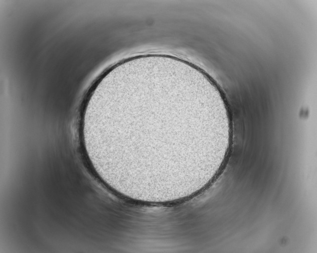 X0000101991502200808151412