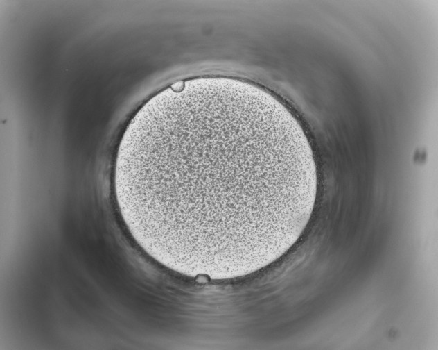 X0000101991504200808151412