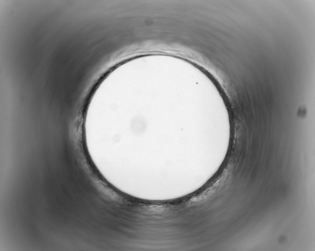 X0000101991507200808151412