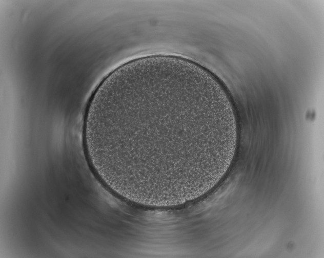 X0000101991508200808151412